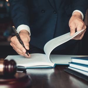 Administrative Law: Basics and Recent Developments 2023