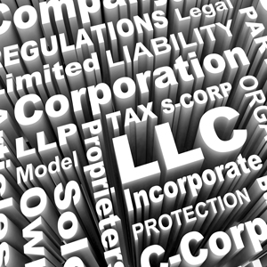 Choosing the Appropriate Business Entity 2024