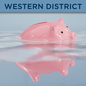 Annual Debtor-Creditor Bankruptcy Update — Western District 2024