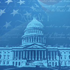Annual Constitutional Law Symposium 2024