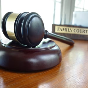 Immigrants in Family Court: The Intersection of Immigration and Family Law 2025
