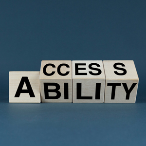 Persons with Disabilities, Their Rights, and Technology 2025