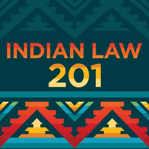 Indian Law 201 2025