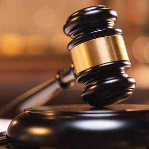 48th Annual Torts Update 2025