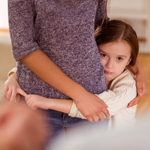 Domestic Violence for Guardians ad Litem 2025