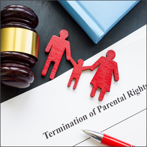Termination of Parental Rights: Burden of Proof at Disposition 2025