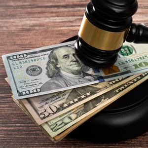 Subrogation/Section 102.29/ERISA/Medicare Set-Asides 2025
