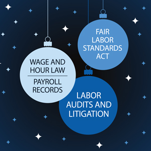 Wage and Hour Winter Wonderland 2025