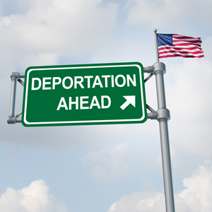 Crimmigration 2026
