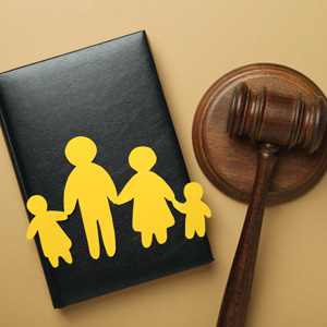 Family Case Law Update 2026