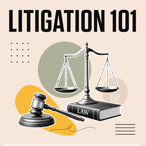 Litigation 101: What You Need to Know to Succeed in Practice 2026